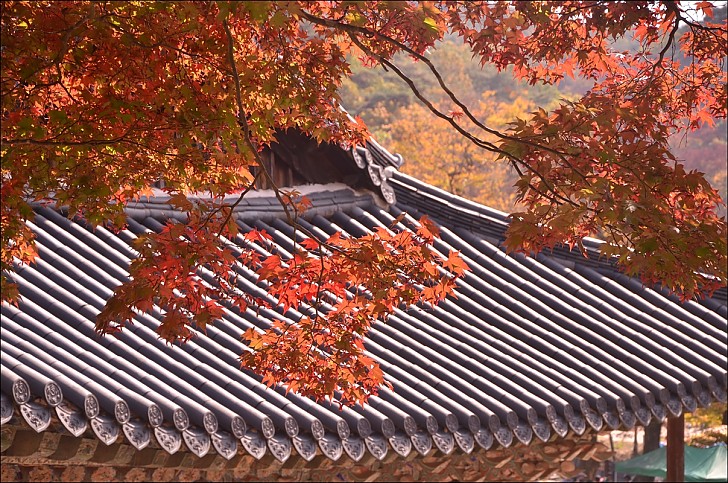 공주마곡사  사찰순례
