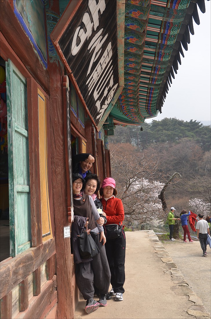 개심사 사찰순례