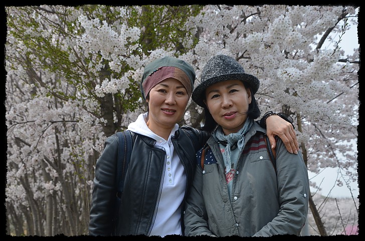 개심사 사찰순례