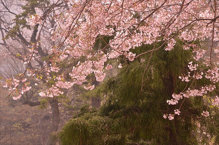 개심사