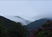 제20차년도 재악산 표충사 염불정진대회 2017. 7. 29