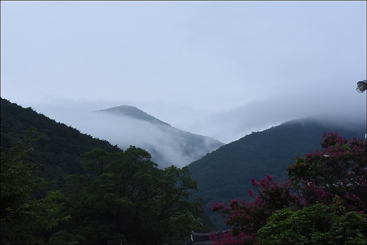제20차년도 재악산 표충사 염불정진대회 2017. 7. 29