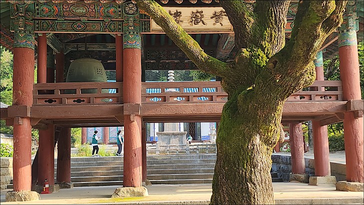 제6차전국염불만일회 26차년도 직지사염불정진대회 2일차 